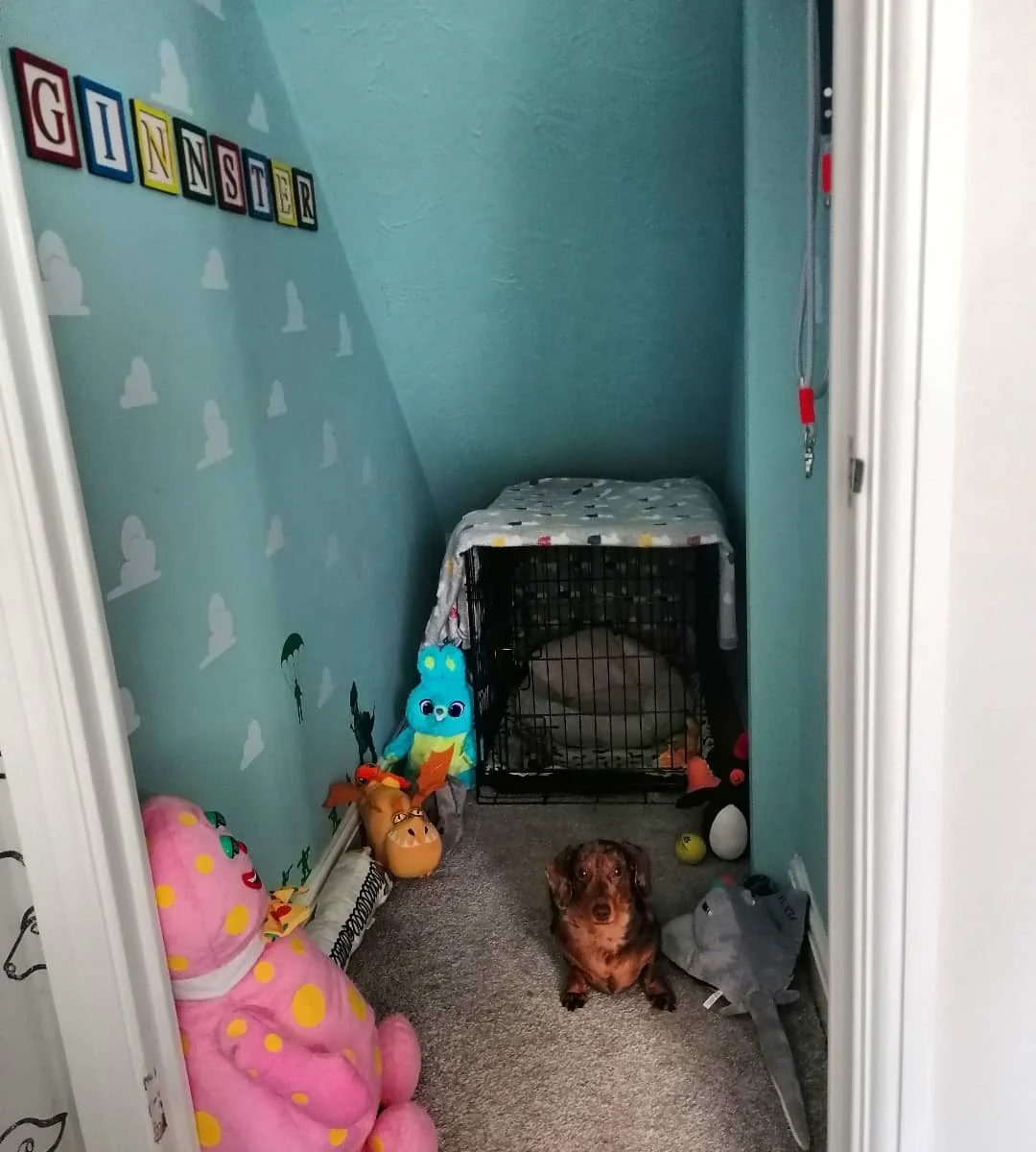 6. Playful Under-Stairs Dog Den with Cloud Motif Walls (Dog Bedroom Ideas)