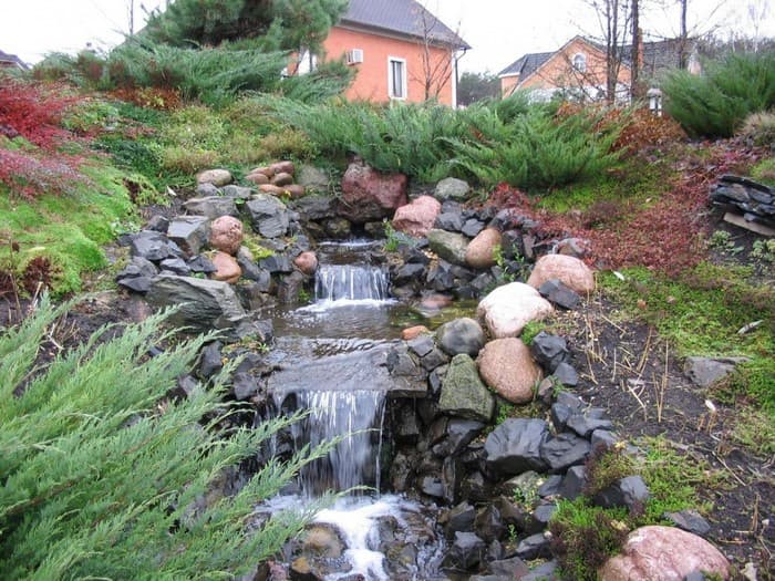 étang d'arrière-cour