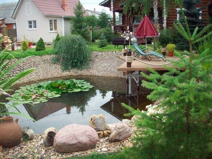 étang d'arrière-cour