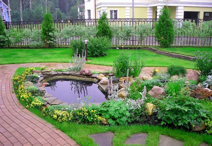 étang d'arrière-cour