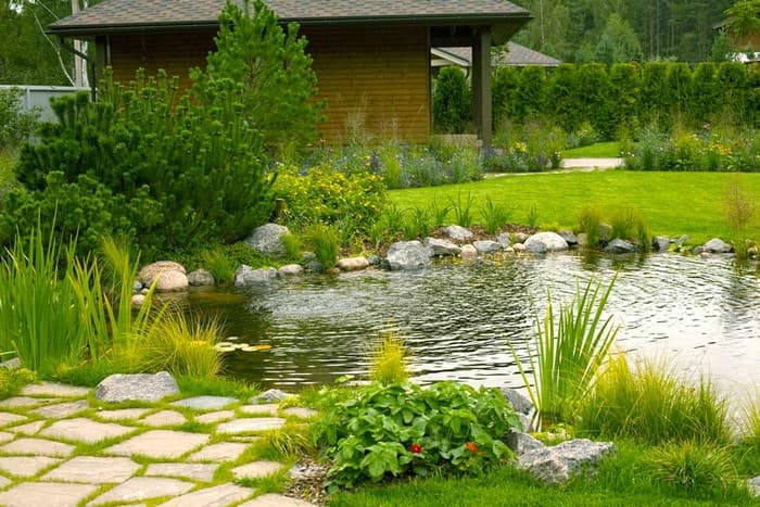 étang d'arrière-cour