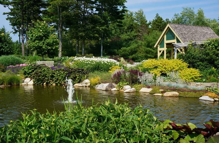 étang d'arrière-cour