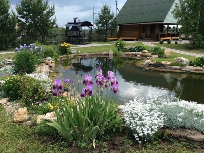 étang d'arrière-cour