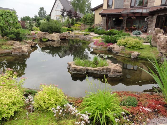 étang d'arrière-cour