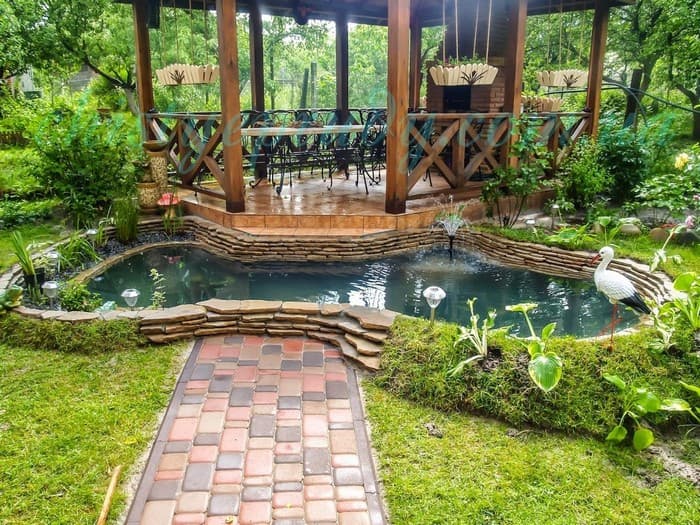 étang d'arrière-cour