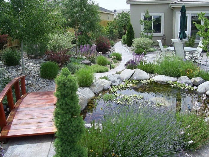 étang d'arrière-cour