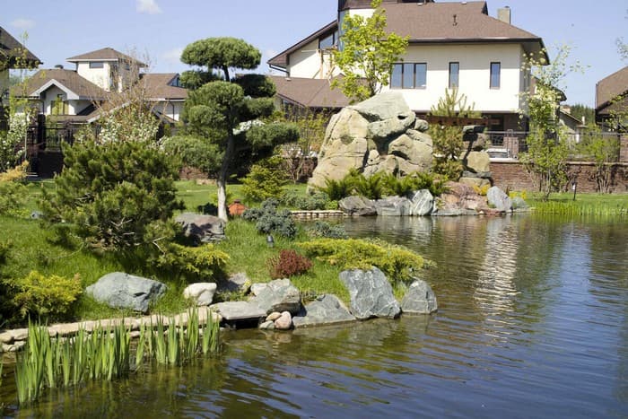 étang d'arrière-cour