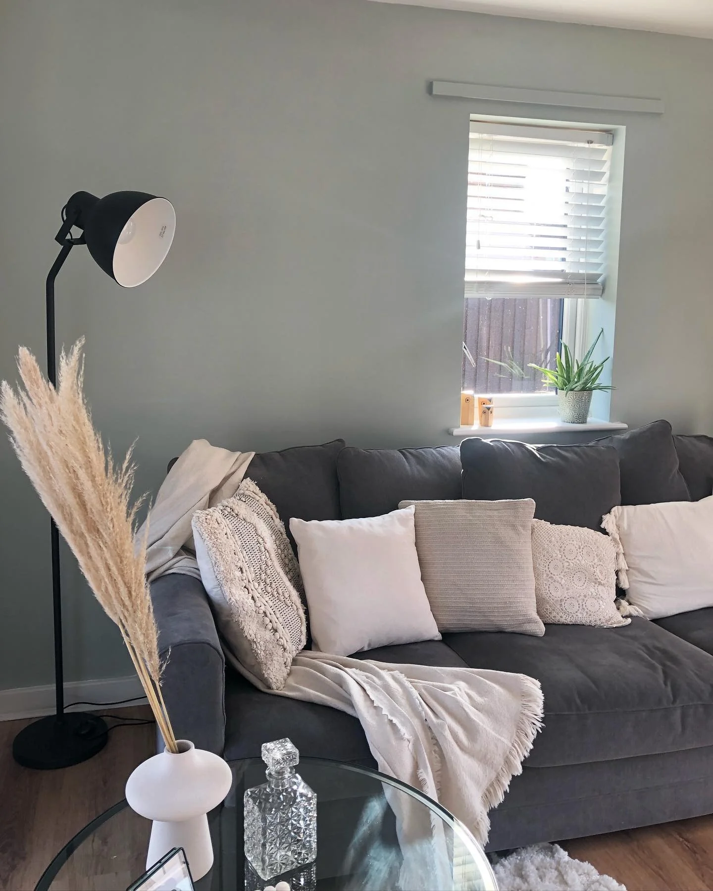 4. Soft Charcoal with a Hint of Sage (Sage Green Living Room Ideas)