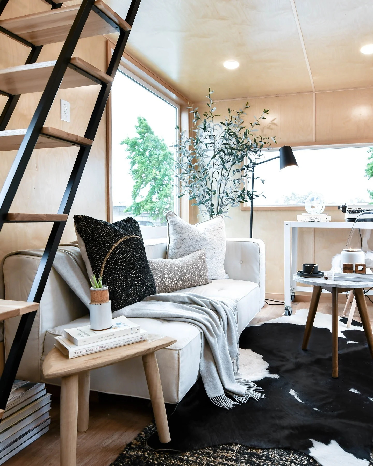 9. Micro Loft with Modern Cabin Feel (Tiny Living Room Ideas)