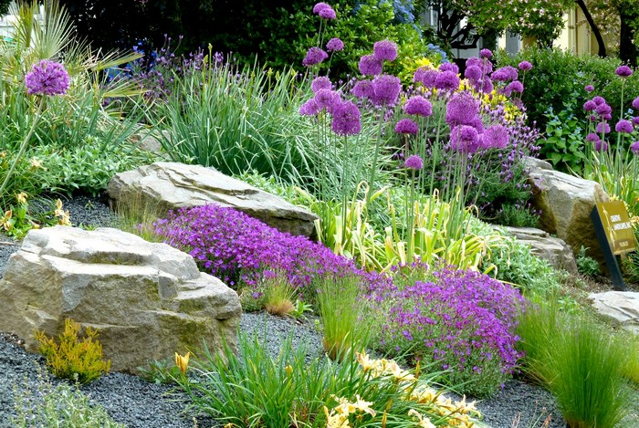 pierres pour le toboggan alpin