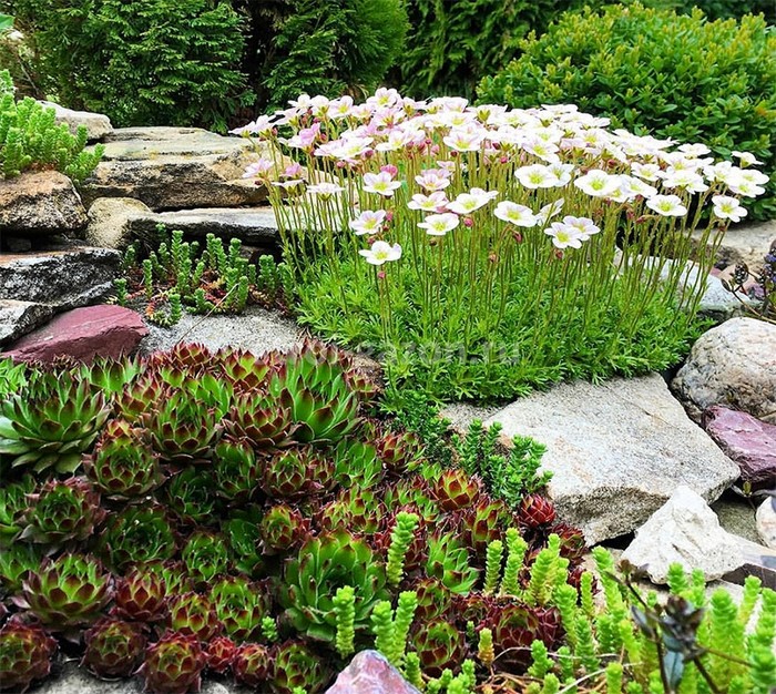 pierres pour le toboggan alpin