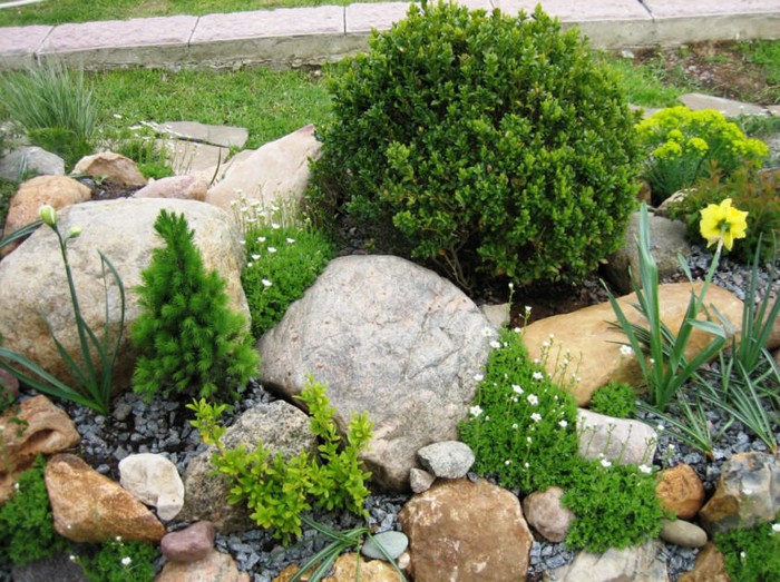 pierres pour le toboggan alpin