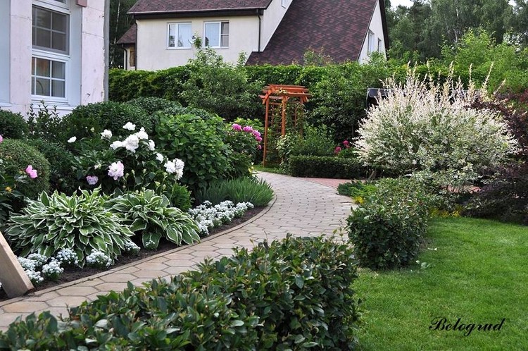 aménagement paysager du site