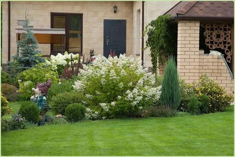 aménagement paysager du site