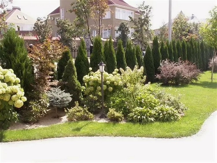 aménagement paysager du site