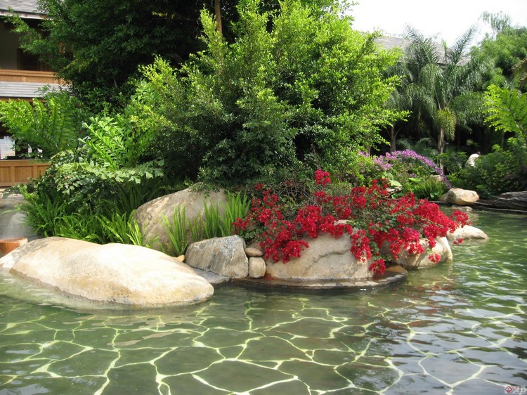 aménagement paysager du site