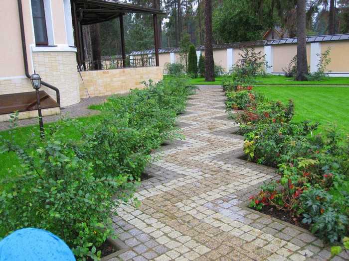 conception d'allée de jardin