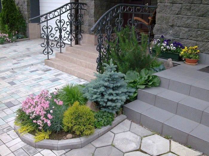 jardin de conifères