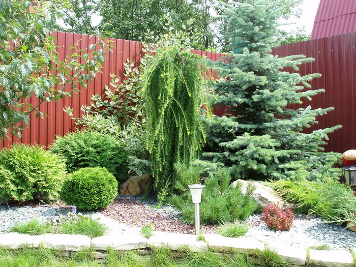 jardin de conifères