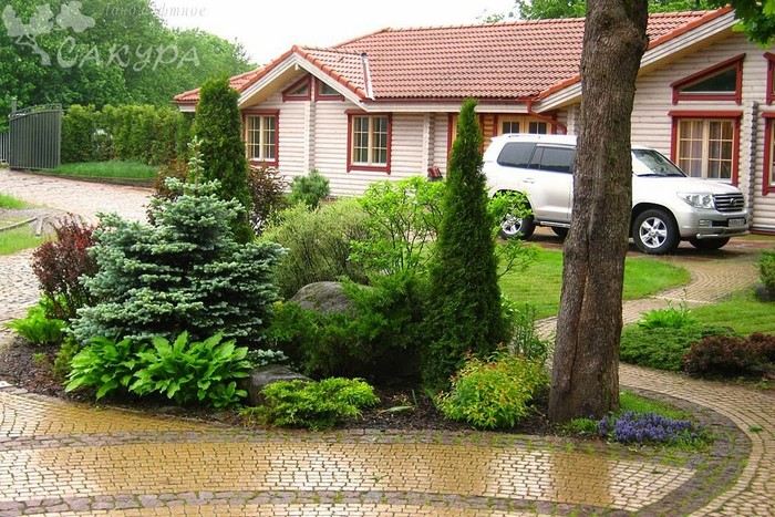 jardin de conifères