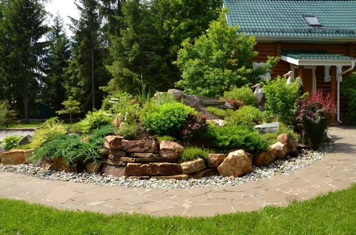 jardin de conifères