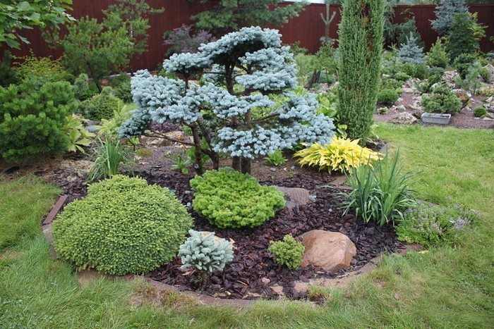 jardin de conifères