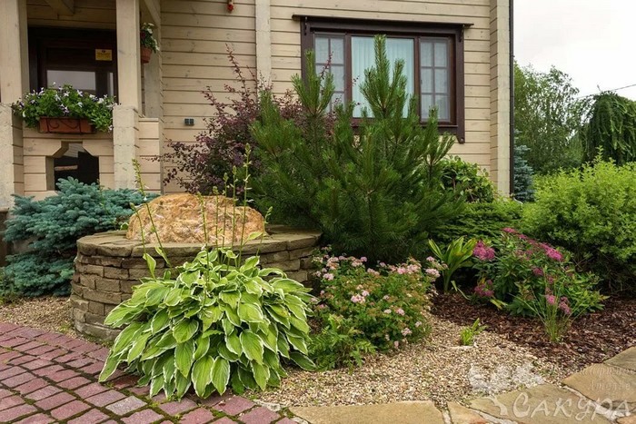 jardin de conifères