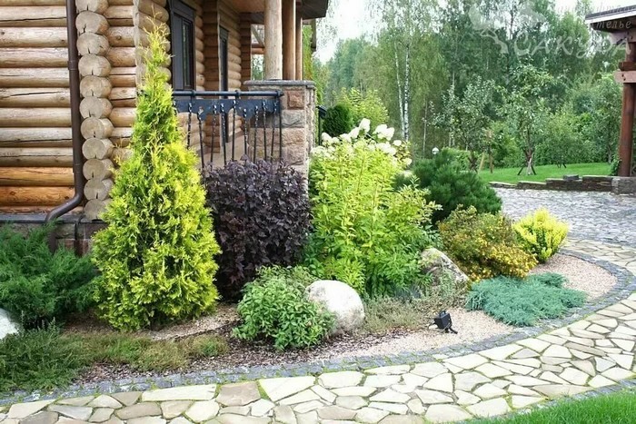 jardin de conifères