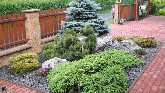 jardin de conifères