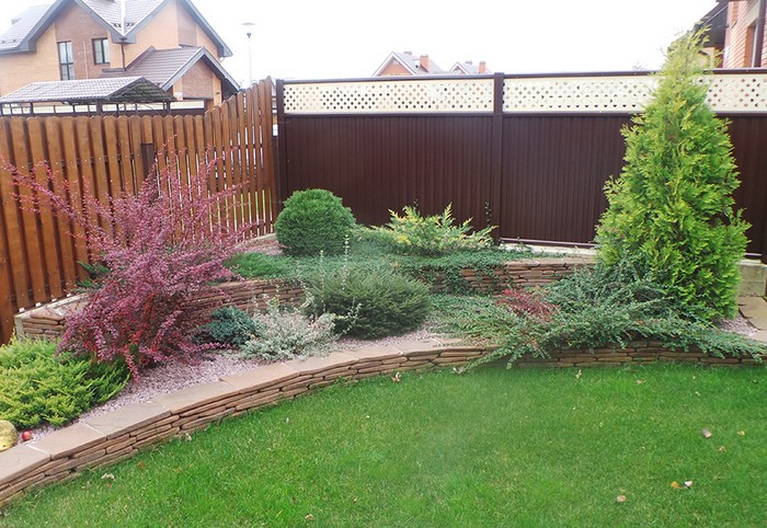 jardin de conifères