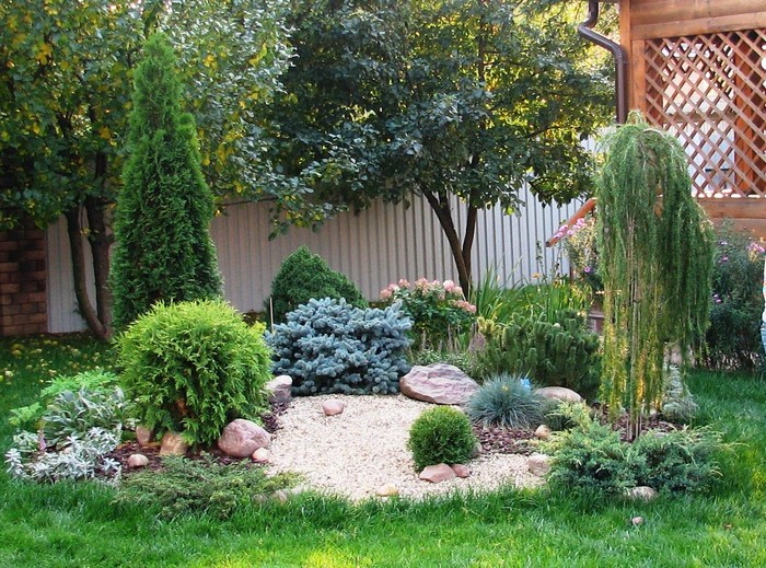 jardin de conifères