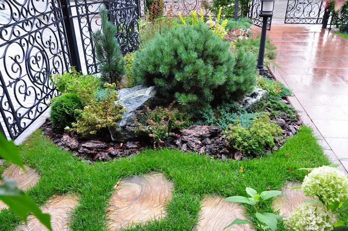 jardin de conifères