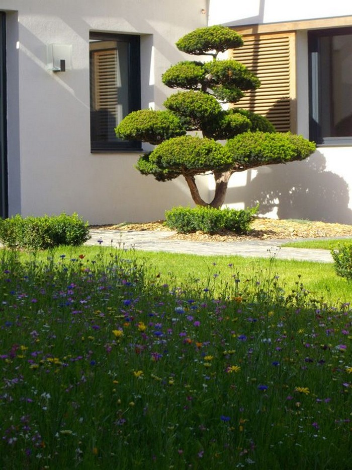 jardin de conifères