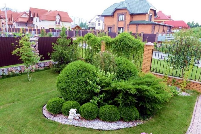 jardin de conifères