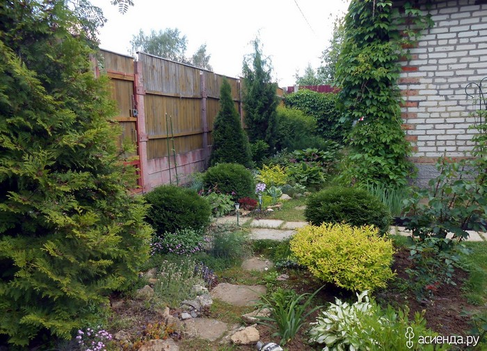 jardin de conifères