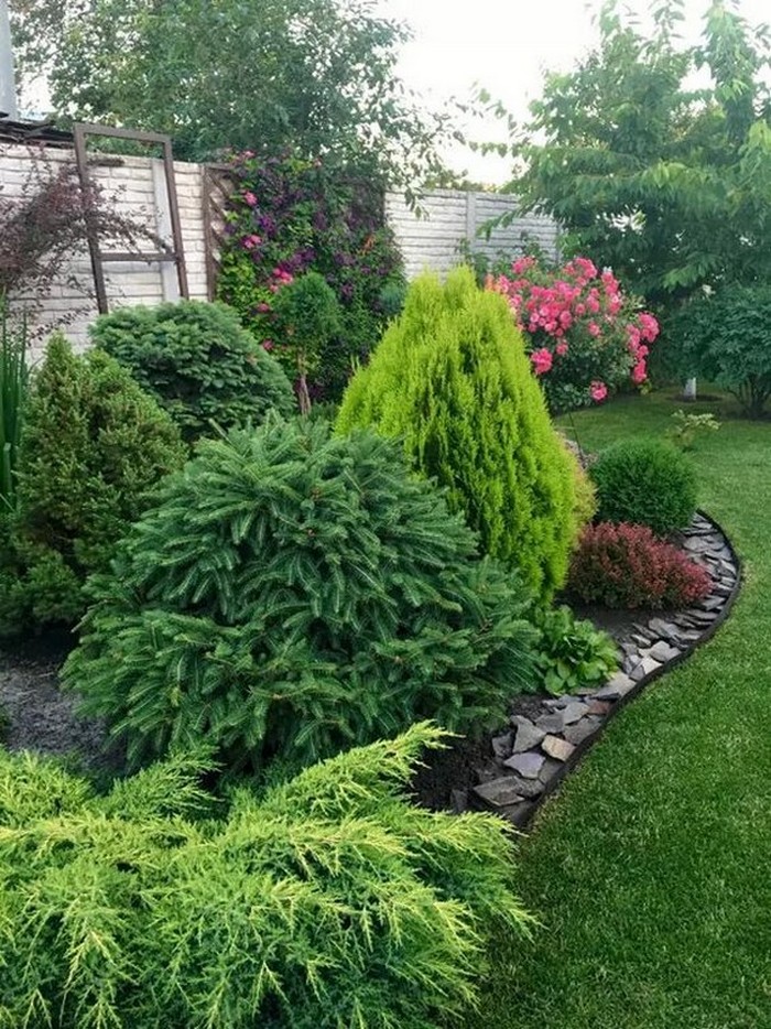 jardin de conifères