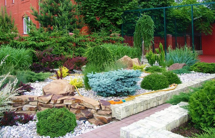 jardin de conifères