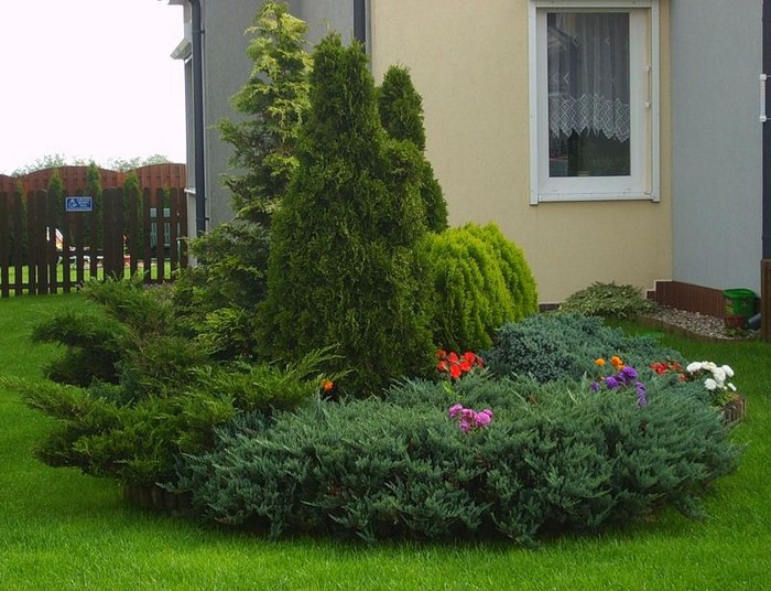 jardin de conifères