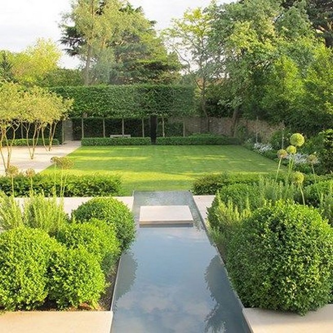 arbres décoratifs pour petit jardin