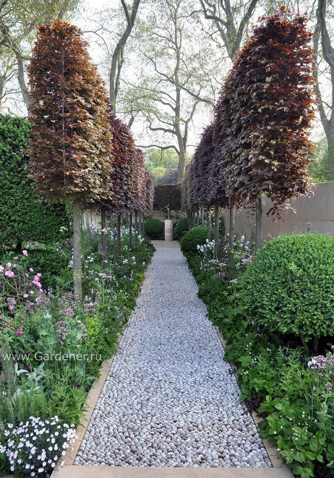 arbres décoratifs pour petit jardin