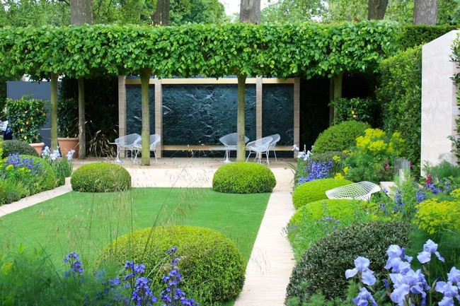 arbres décoratifs pour petit jardin