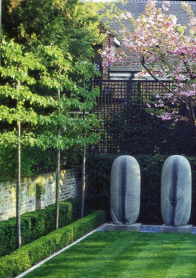 arbres décoratifs pour petit jardin