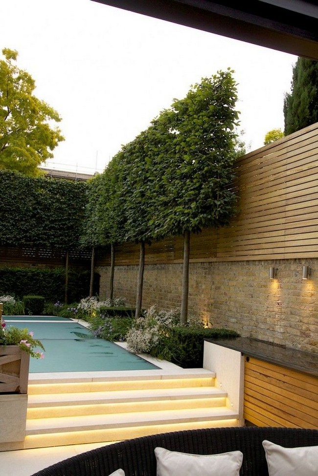 arbres décoratifs pour petit jardin