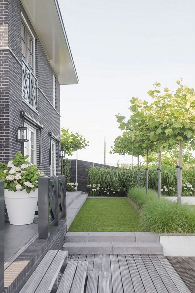 arbres décoratifs pour petit jardin