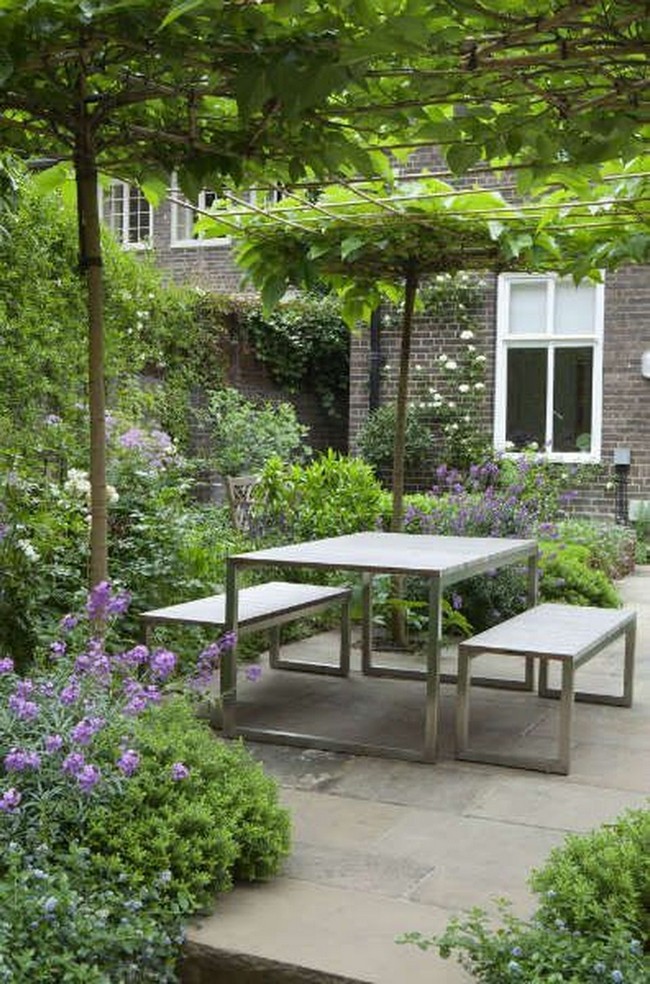 arbres décoratifs pour petit jardin