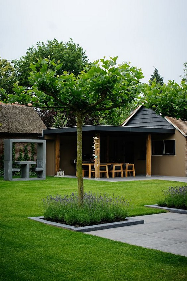 arbres décoratifs pour petit jardin