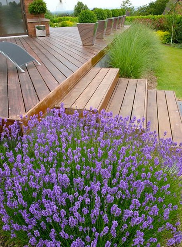 aménagement paysager