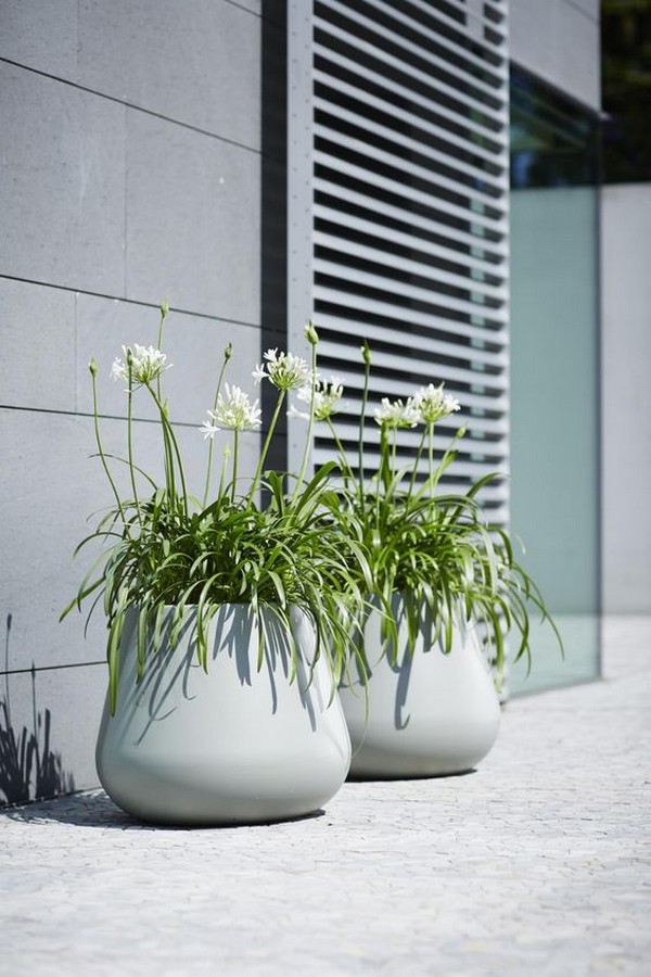 aménagement paysager