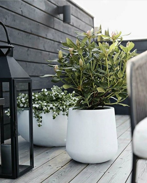 aménagement paysager