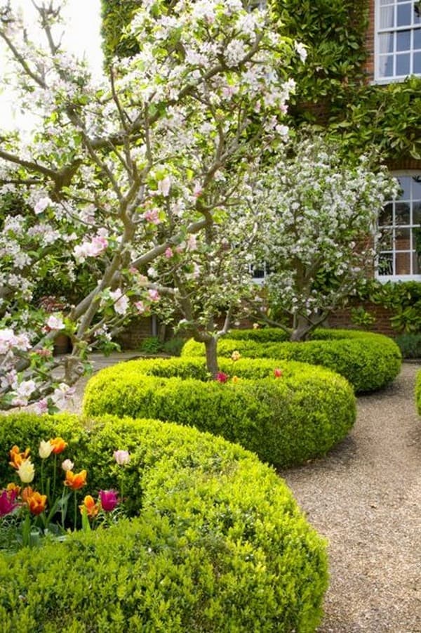 coupe de cheveux bouclés de conifères